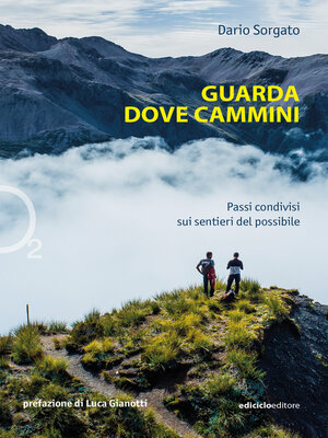 cover image of Guarda dove cammini